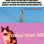 Subscribe: thespatialedition.com/subscribe | WHEN YOU'RE THE ONLY ONE IN YOUR CIRCLE WHO'S UP TO DATE WITH SPATIAL COMPUTING NEWS BECAUSE YOU READ THE SPATIAL EDITION NEWSLETTER | image tagged in hail pole cat | made w/ Imgflip meme maker