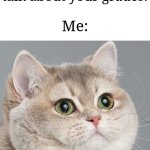 "Guess I'll die" | Mom: We need to talk about your grades! Me: | image tagged in memes,heavy breathing cat,internal screaming,funny | made w/ Imgflip meme maker