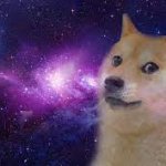 doge in space