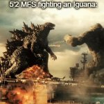 They are that short | 5'2 MFS fighting an Iguana: | image tagged in gifs,relatable | made w/ Imgflip video-to-gif maker