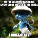 Someone Tell Me | WHY IS EVERYONE SAYING WE LIVE WE LOVE WE LIE ON THIS IMAGE; I DON'T GET IT | image tagged in blue smurf cat | made w/ Imgflip meme maker
