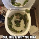 feisty little shits | SEE, THIS IS WHY YOU HEAT YOUR FOOD TO AT LEAST 160°F | image tagged in frogs in da toilet | made w/ Imgflip meme maker