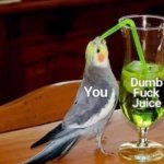 Dumb Fuck Juice