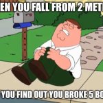 peter hurting his knee | WHEN YOU FALL FROM 2 METERS; AND YOU FIND OUT YOU BROKE 5 BONES | image tagged in peter hurting his knee | made w/ Imgflip meme maker