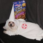 Racist dog