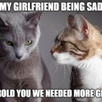 two cats | MY GIRLFRIEND BEING SAD; ME: I ROLD YOU WE NEEDED MORE GLITTER | image tagged in two cats | made w/ Imgflip meme maker