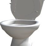 Normal Toilet