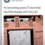 WHY