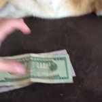 Buy iPods from doggo GIF Template