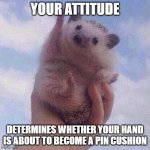 Pin Cushion | YOUR ATTITUDE; DETERMINES WHETHER YOUR HAND IS ABOUT TO BECOME A PIN CUSHION | image tagged in encouraging hedgehog | made w/ Imgflip meme maker