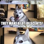 No lies detected! | WHY ARE THE EFFECTS OF PERFUME SO EASY TO UNDERSTAND? THEY MAKE A LOT OF SCENTS! | image tagged in memes,bad pun dog,perfume,joke,pun,haha | made w/ Imgflip meme maker