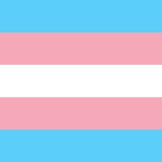 Transgender flag meme