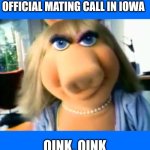 oink | OFFICIAL MATING CALL IN IOWA; OINK, OINK | image tagged in mad miss piggy,iowa | made w/ Imgflip meme maker