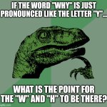 Y | IF THE WORD "WHY" IS JUST PRONOUNCED LIKE THE LETTER "Y"... WHAT IS THE POINT FOR THE "W" AND "H" TO BE THERE? | image tagged in philosoraptor | made w/ Imgflip meme maker