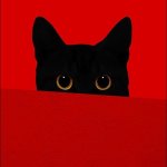 gatito negro ojos