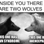 There are two wolves inside you | THIS ONE HAS DOWN SYNDROME; THIS ONE HAS 
ANENCEPHALY | image tagged in there are two wolves inside you | made w/ Imgflip meme maker