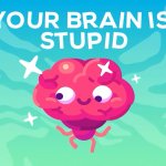 Your brain is stupid