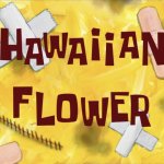 Hawaiian Flower title card
