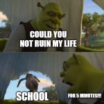 so true | COULD YOU NOT RUIN MY LIFE; SCHOOL; FOR 5 MINUTES!!! | image tagged in why are you reading the tags | made w/ Imgflip meme maker