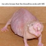XD | mom: is excited for grandkids; me who knows that the bloodline ends with ME | image tagged in naked mole rat,end,funny | made w/ Imgflip meme maker