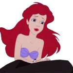 ariel on the rock