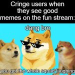 i have seen a few users who just hate good memes that aren't about exactly what they like | Cringe users when they see good memes on the fun stream: | image tagged in dang bro you got the whole squad laughing doge,cringe,imgflip users | made w/ Imgflip meme maker