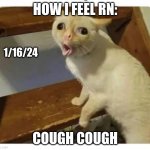 Coughing Cat | HOW I FEEL RN:; 1/16/24; COUGH COUGH | image tagged in coughing cat | made w/ Imgflip meme maker