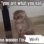 Wi-Fi | Wi-Fi | image tagged in you are what you eat,wifi,wi-fi,memes,interesting,hey internet | made w/ Imgflip meme maker