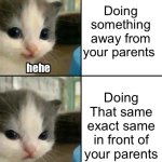 Too true | Doing something away from your parents; Doing That same exact same in front of your parents | image tagged in cute cat hehe and not hehe | made w/ Imgflip meme maker