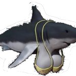 shark with tits