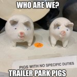 Trailer Park Pigs | WHO ARE WE? TRAILER PARK PIGS | image tagged in pigs with no specific purpose,oinkment,memes,trailer park boys,existential angst,bro | made w/ Imgflip meme maker