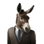 Donkey with suit and tie