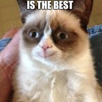 Grumpy Cat Happy Meme | ROOT BEER IS THE BEST | image tagged in memes,grumpy cat happy,grumpy cat | made w/ Imgflip meme maker