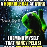 David Schell Kermit Nancy Pelosi