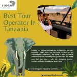 Best Tour Operator In Tanzania