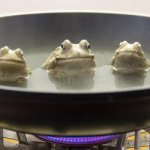 frogs boiling