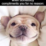 *smiling* | What it feels like when somebody compliments you for no reason: | image tagged in a happy doggo,happy,compliment,memes,relatable | made w/ Imgflip meme maker