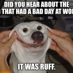 Funny dog | DID YOU HEAR ABOUT THE DOG THAT HAD A BAD DAY AT WORK? IT WAS RUFF. | image tagged in funny dog,bad pun dog | made w/ Imgflip meme maker