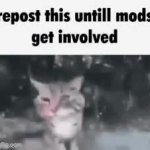 Repost mods GIF Template
