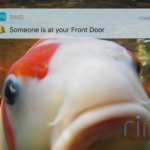 Someone is at your front door meme