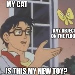 is this butterfly | MY CAT; ANY OBJECT ON THE FLOOR; IS THIS MY NEW TOY? | image tagged in is this butterfly | made w/ Imgflip meme maker