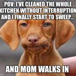 Frustrated dog | POV: I’VE CLEANED THE WHOLE KITCHEN WITHOUT INTERRUPTION AND I FINALLY START TO SWEEP…; AND MOM WALKS IN | image tagged in frustrated dog,cleaning,kitchen,mom,annoying | made w/ Imgflip meme maker