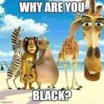 why are you black? meme