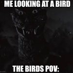 Me staring at a bird | ME LOOKING AT A BIRD; THE BIRDS POV: | image tagged in staring man in the suit | made w/ Imgflip meme maker