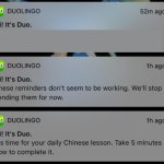 Duolingo 3 Notification