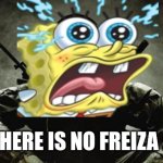 no frezia :( | THERE IS NO FREIZA :( | image tagged in is that frezia | made w/ Imgflip meme maker