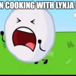 R.I.P Lynja | WHEN COOKING WITH LYNJA DIED: | image tagged in bfdi snowball nooooo | made w/ Imgflip meme maker