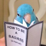 Bird reading meme
