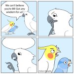 wise old cockatoo meme