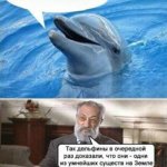 Smart dolphin